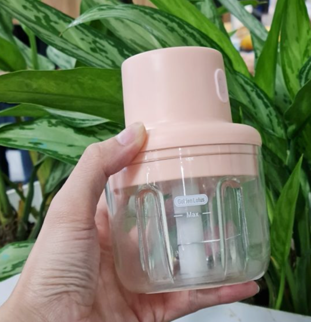 Máy Xay Tỏi Ớt Hành Cầm Tay Mini Sạc Điện 100ml - Có Cổng Sạc Usb Loại 1